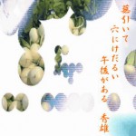 幕引いて穴にけだるい午後がある