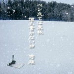 ペン立ては寒林何も書かない日
